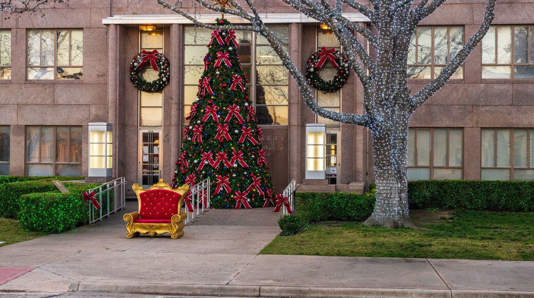 Lights on trees with large Xmas tree at entrance to the historic Burnet County court house in Texas