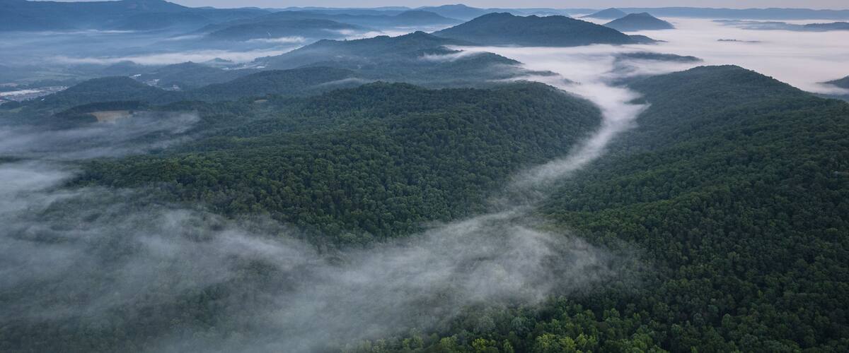 Eine gebirgige Landschaft mit dichten Wäldern und einem Tal.