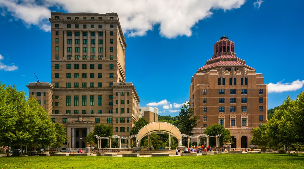 Buncombe County Courthouse and Asheville City Hall, in Asheville