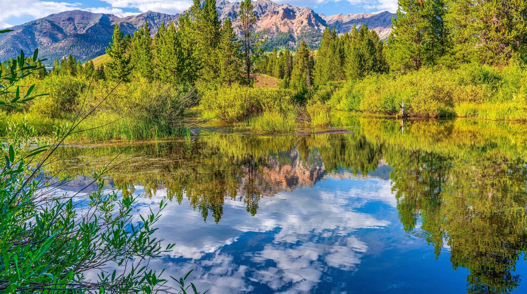 Blaine County, Idaho