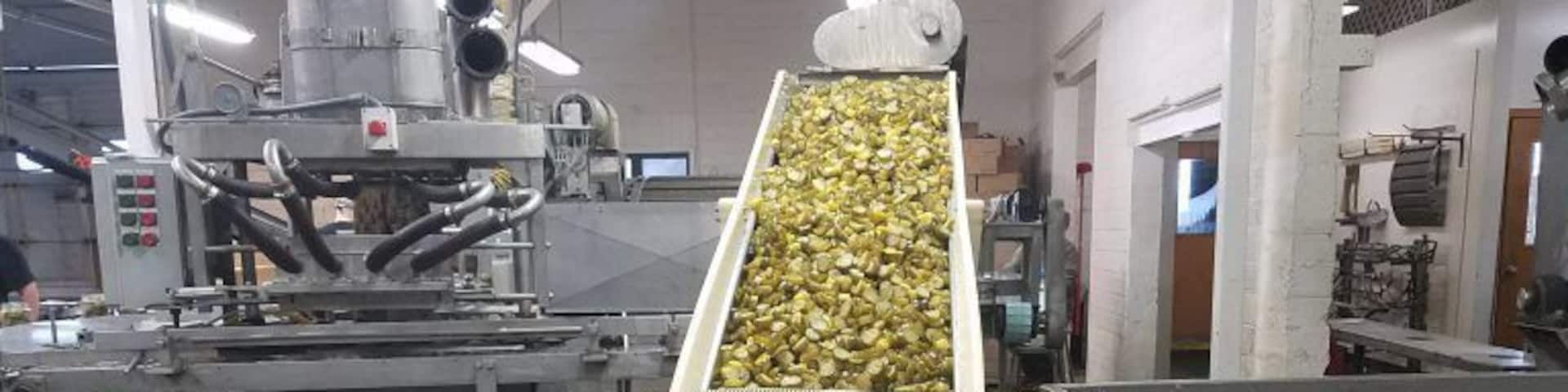 Visit Sechler's Pickles where you'll see a family tradition of pickle processing that spans nearly 100 years. You will experience the same art of fine pickle processing that began in 1921 by founder Ralph Sechler and can shop the rustic retail showroom with over 54 varieties of pickle products. You can't dine here, but you can sample some very good pickles.
A group tour of our plant can be scheduled from April - October. We offer tours Monday through Thursday starting at 9 to 11am and 12:30 to 3pm EST, starting every 30 minutes. If you would like to bring a group (6 or more) please call a week prior for a reservation. If you have less than 6 in your group feel free to stop by during any of the above tour times. Please wear no open-toed shoes or sandals, or dangling jewelry. School groups must be 4th graders or older.