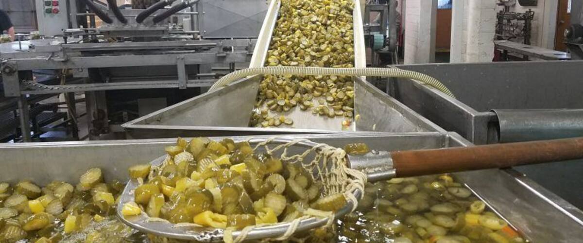 A food processing facility with machinery and trays of pickled vegetables.