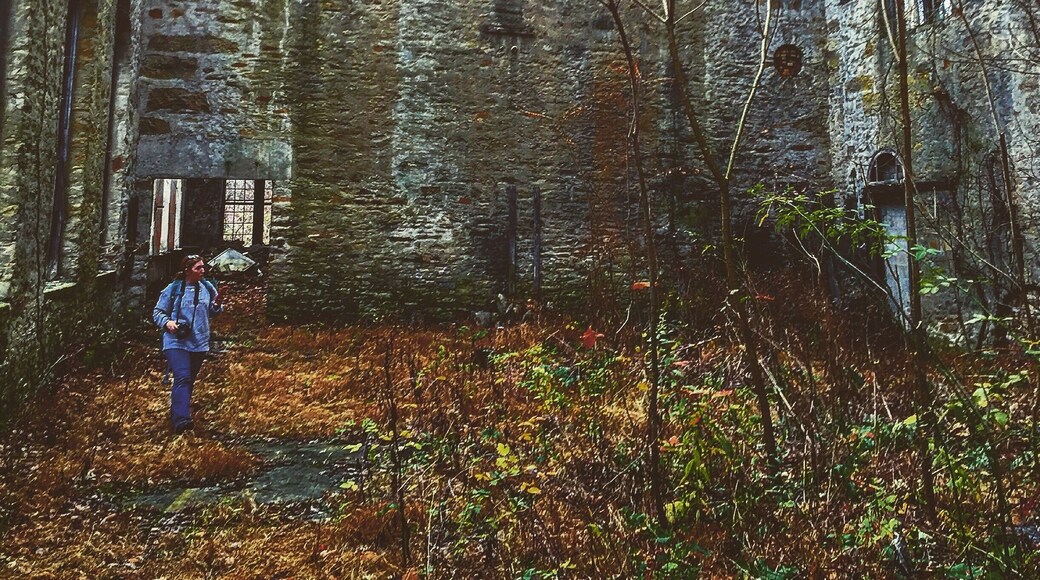 Magee Mine #abandoned