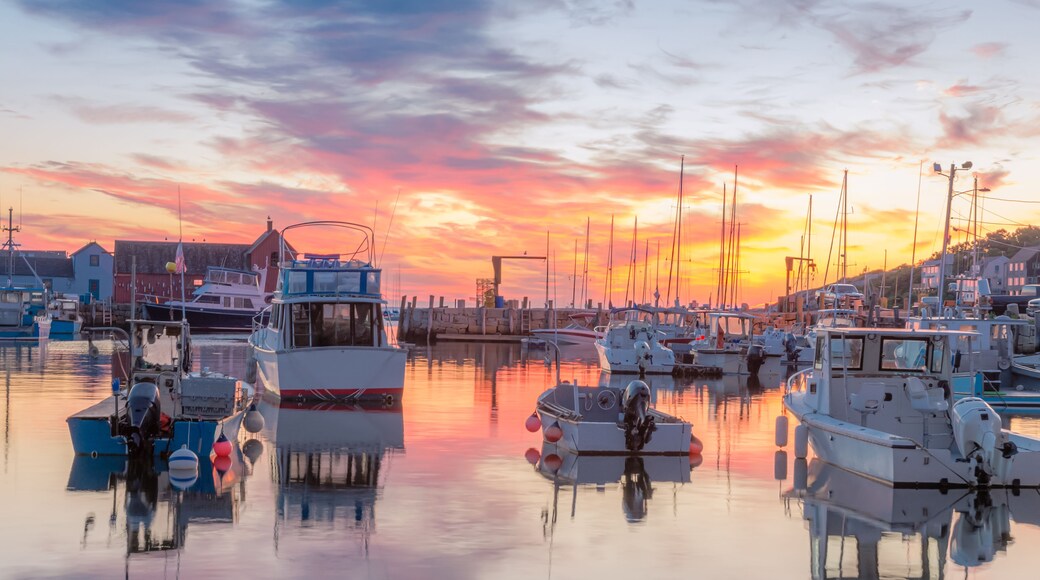 A marina with boats docked at sunset.