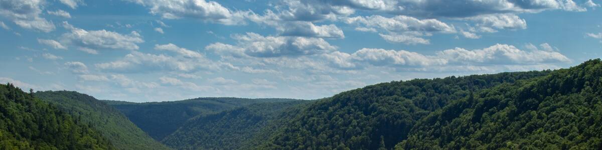 Pennsylvania Grand Canyon Tioga County National Forest Pine Creek