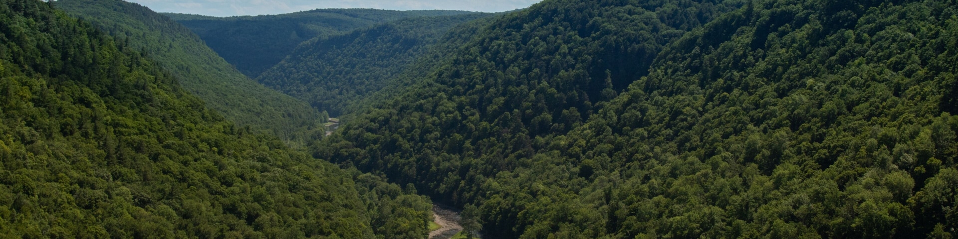 Pennsylvania Grand Canyon Tioga County National Forest Pine Creek
