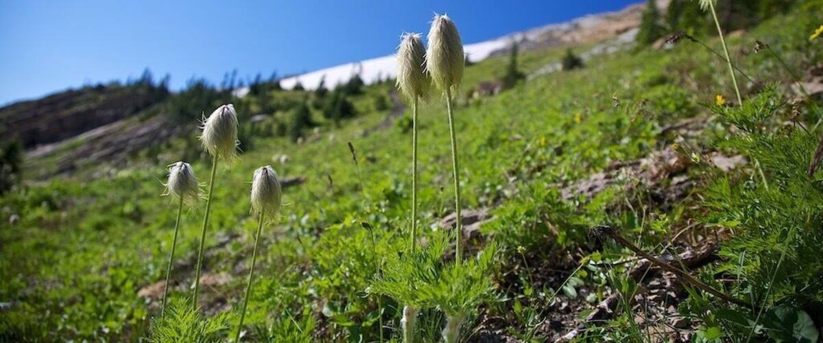 Beautiful alpine country. Make sure to look for mountain goats.