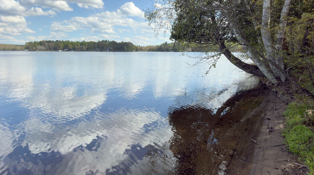 A calm lake with a clear reflection of the sky, surrounded by trees and a distant shoreline with houses.