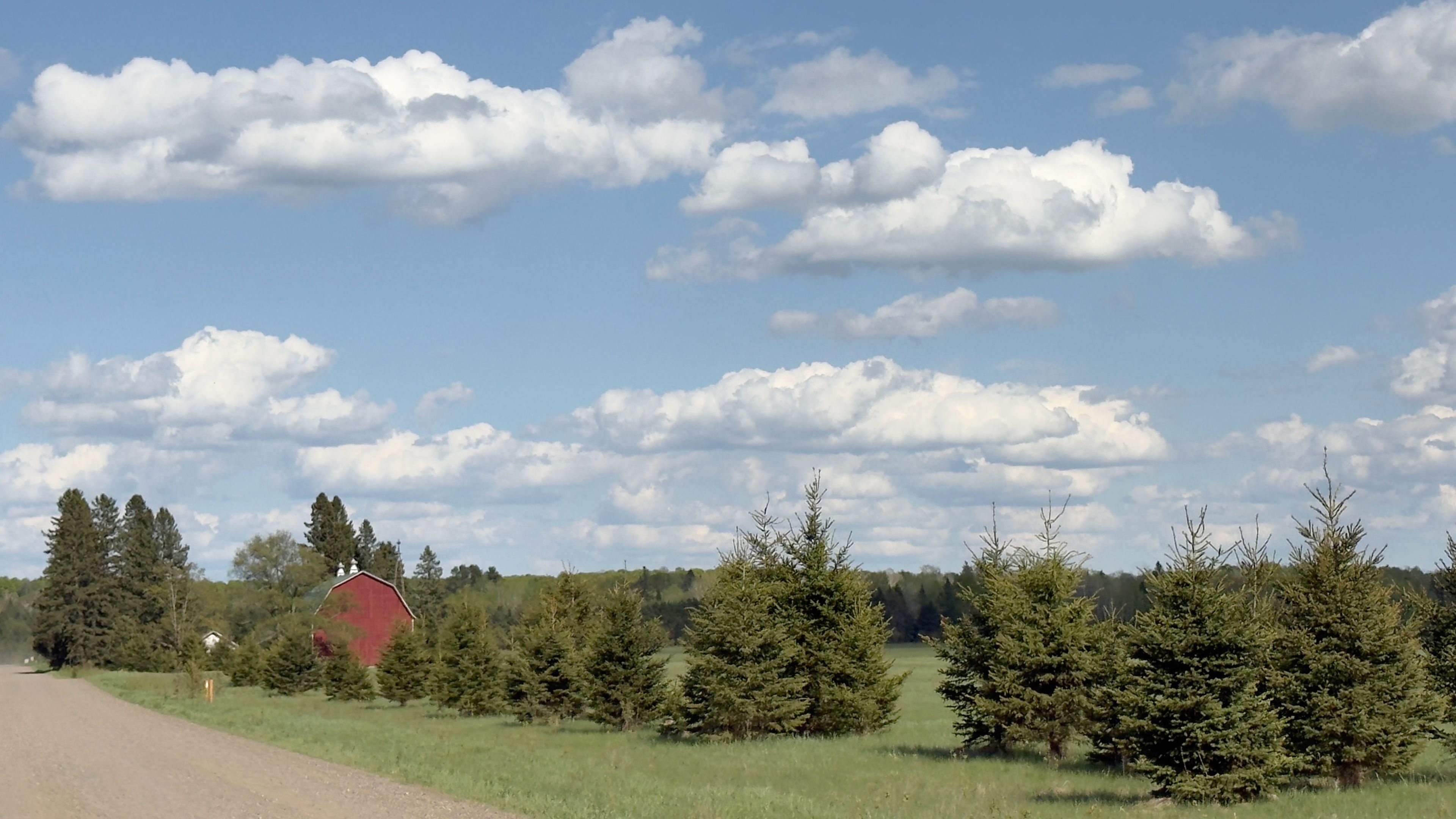 A rural landscape with a red barn, evergreen trees, and a clear blue sky with scattered clouds.