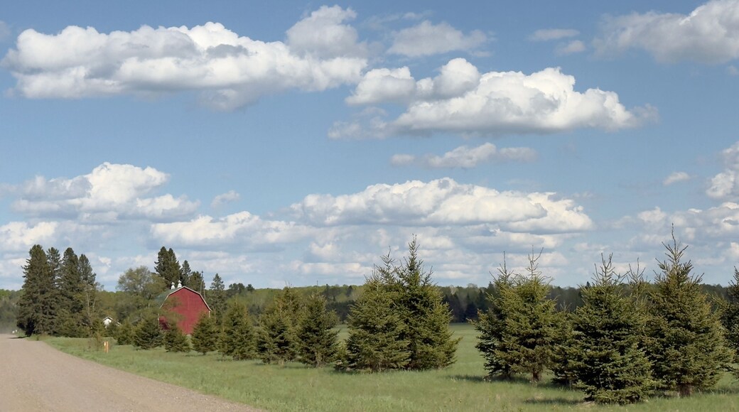 A rural landscape with a red barn, evergreen trees, and a clear blue sky with scattered clouds.