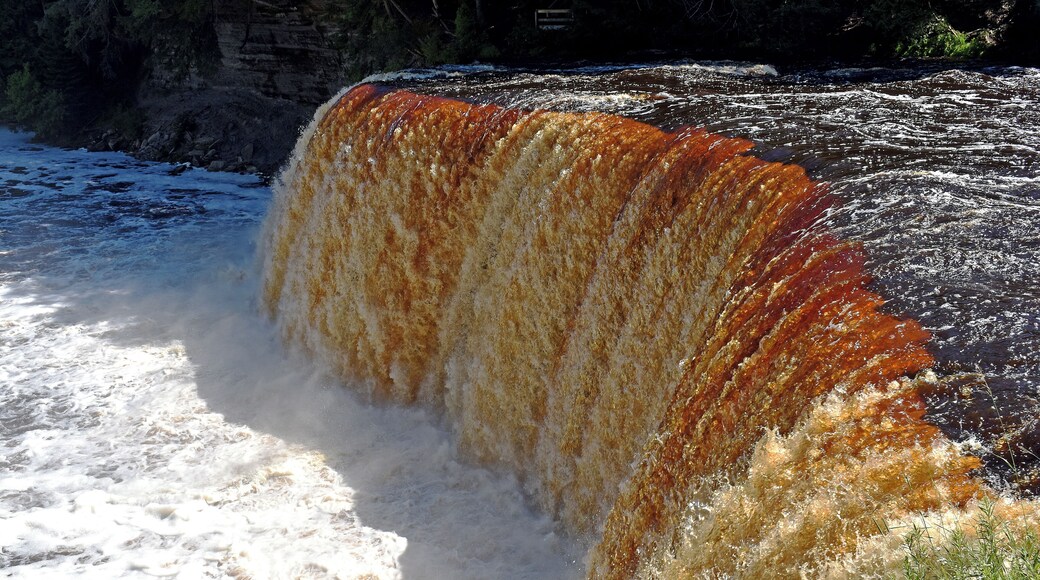 The falls are located in Michigan's Upper Peninsula. The water is notably brown in color from the tannins leached from the cedar swamps which the river drains.