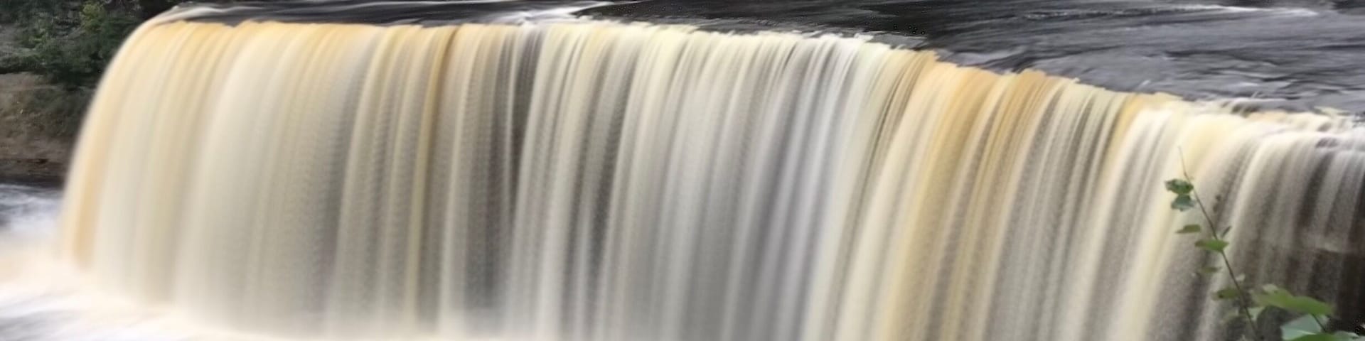 Una cascada se precipita sobre un risco rodeado de bosque denso.