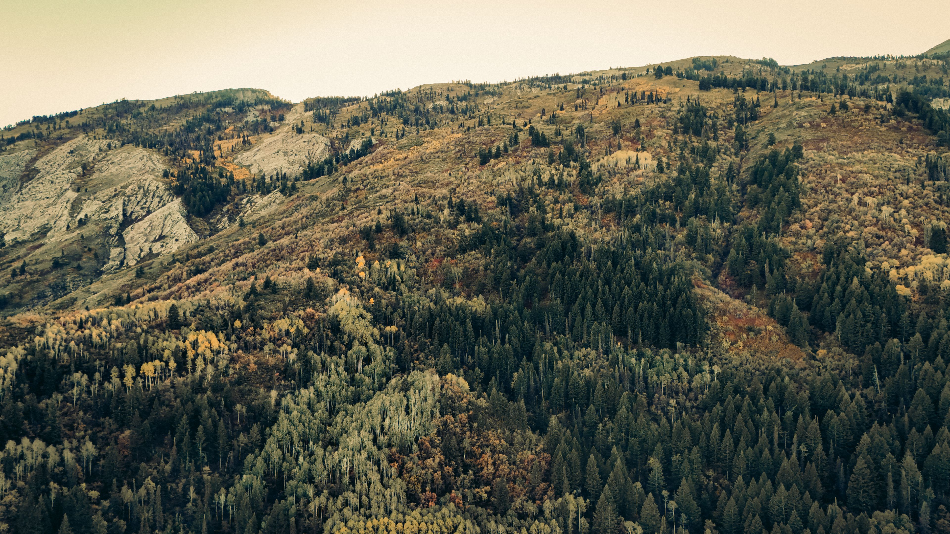 A mountainous landscape with dense forests and rocky terrain.