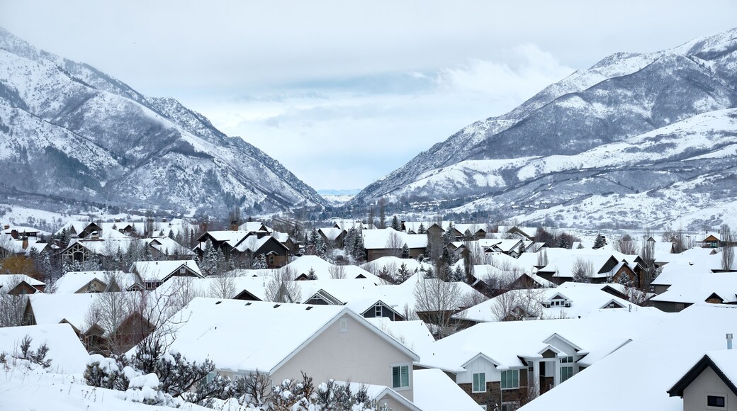 Rooftops in Mountain Green, Utah, and Weber Canyon, through which some buildings of Ogden can just be made out.