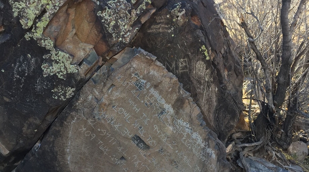 The Decalogue stone is nestled in a canyon on Hidden Mountain, about a mile hike from the nearest road. The inscription has been interpreted as an abbreviated version of the Ten Commandments written in an ancient form of Hebrew, but there is no evidence of its authenticity.