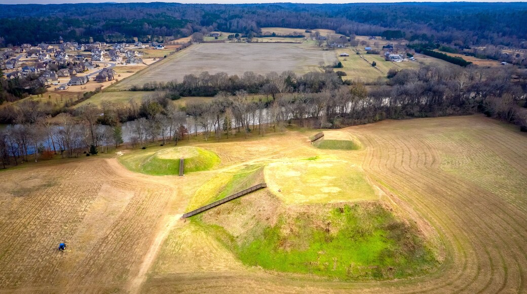 Aerial view of Etowah Indian Mounds Historic Site in Cartersville Georgia