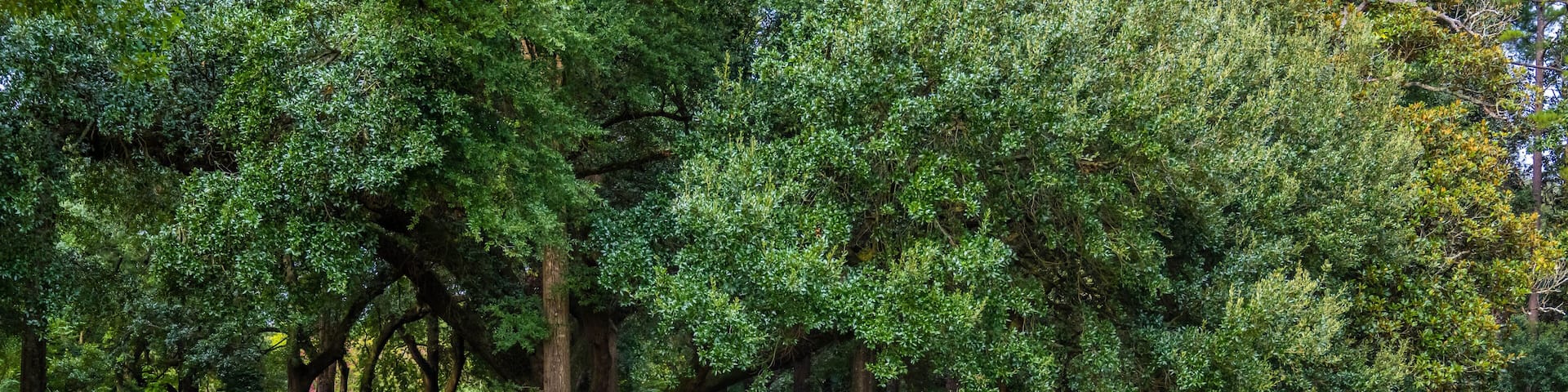 A 14 acre public garden wrapped behind a serpentine brick wall i
