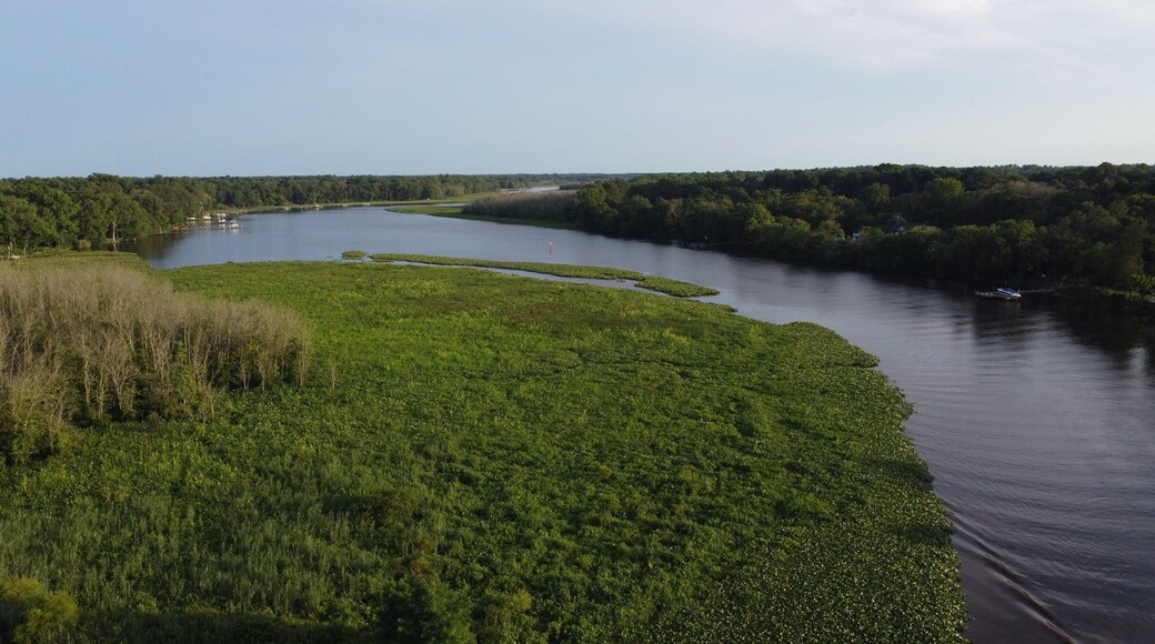Aerial view of the Choptank River in Maryland, with calm waters and vibrant greenery