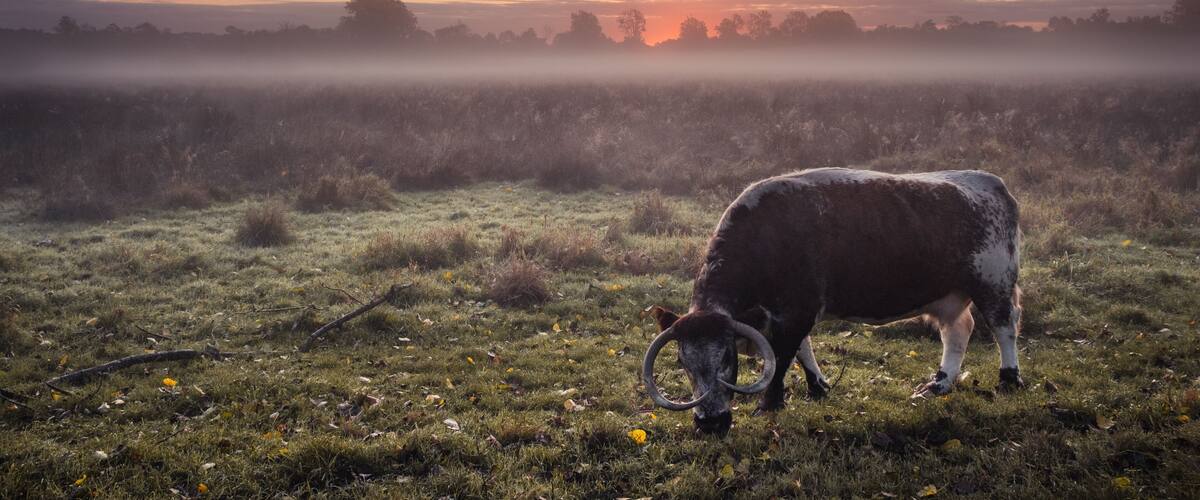 Relaxing starting of a new day in Autumn