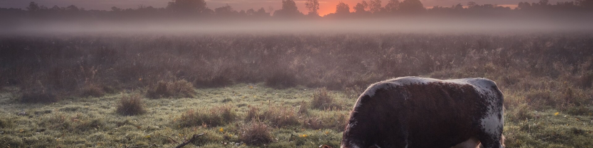 Relaxing starting of a new day in Autumn