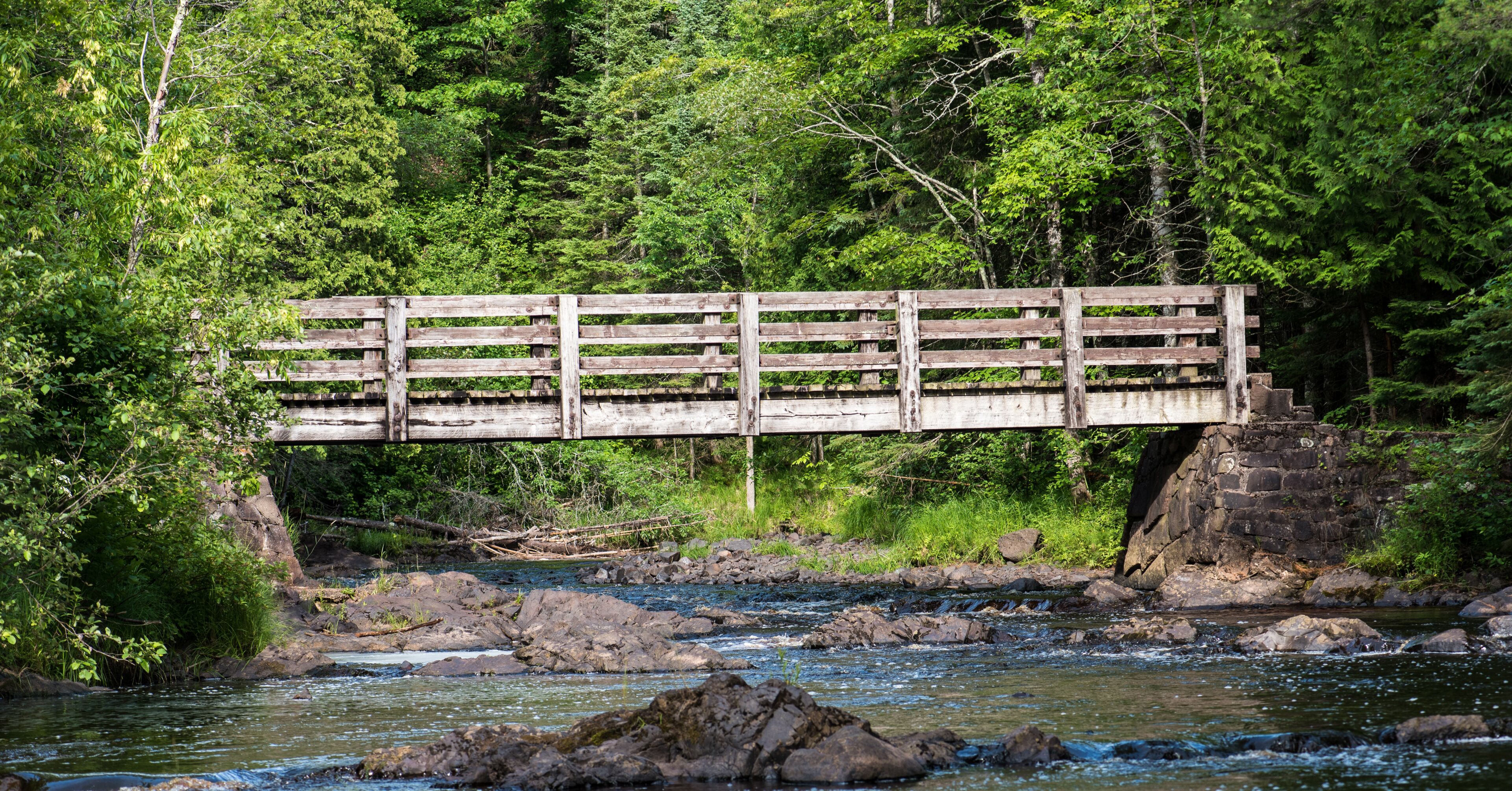 Walking Bridge over the Black River