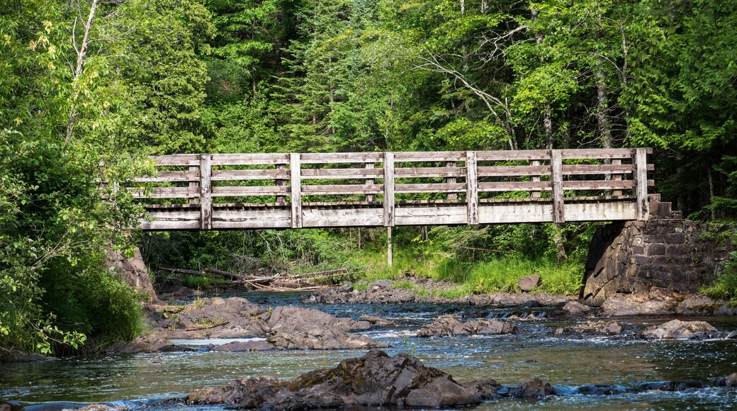 Walking Bridge over the Black River