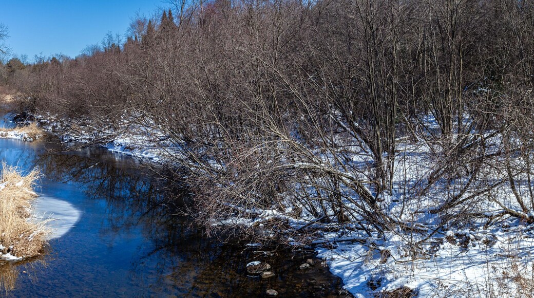 Wisconsin stream and forest with a little snow
