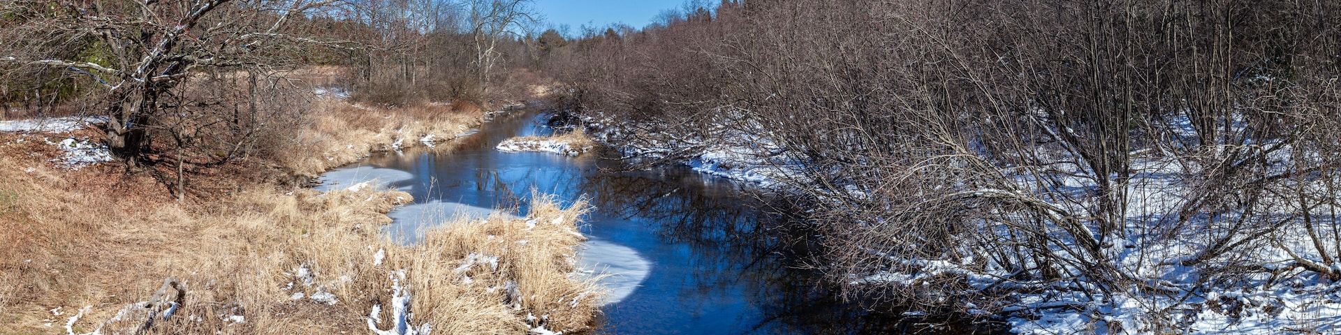 Wisconsin stream and forest with a little snow