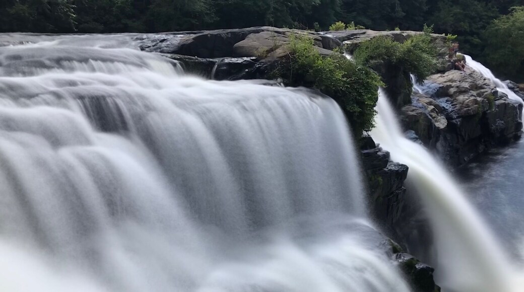 Quite the roaring waterfalls! Lots of rain before we arrived and plenty of cliff jumpers as well. Next time I have more time, I would love to hike the rim.