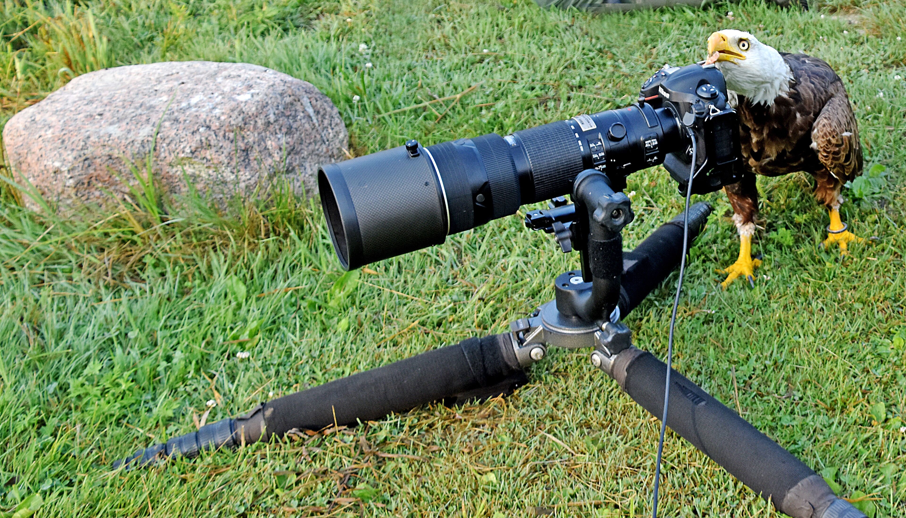 Just checking to see what all the fuss is about.