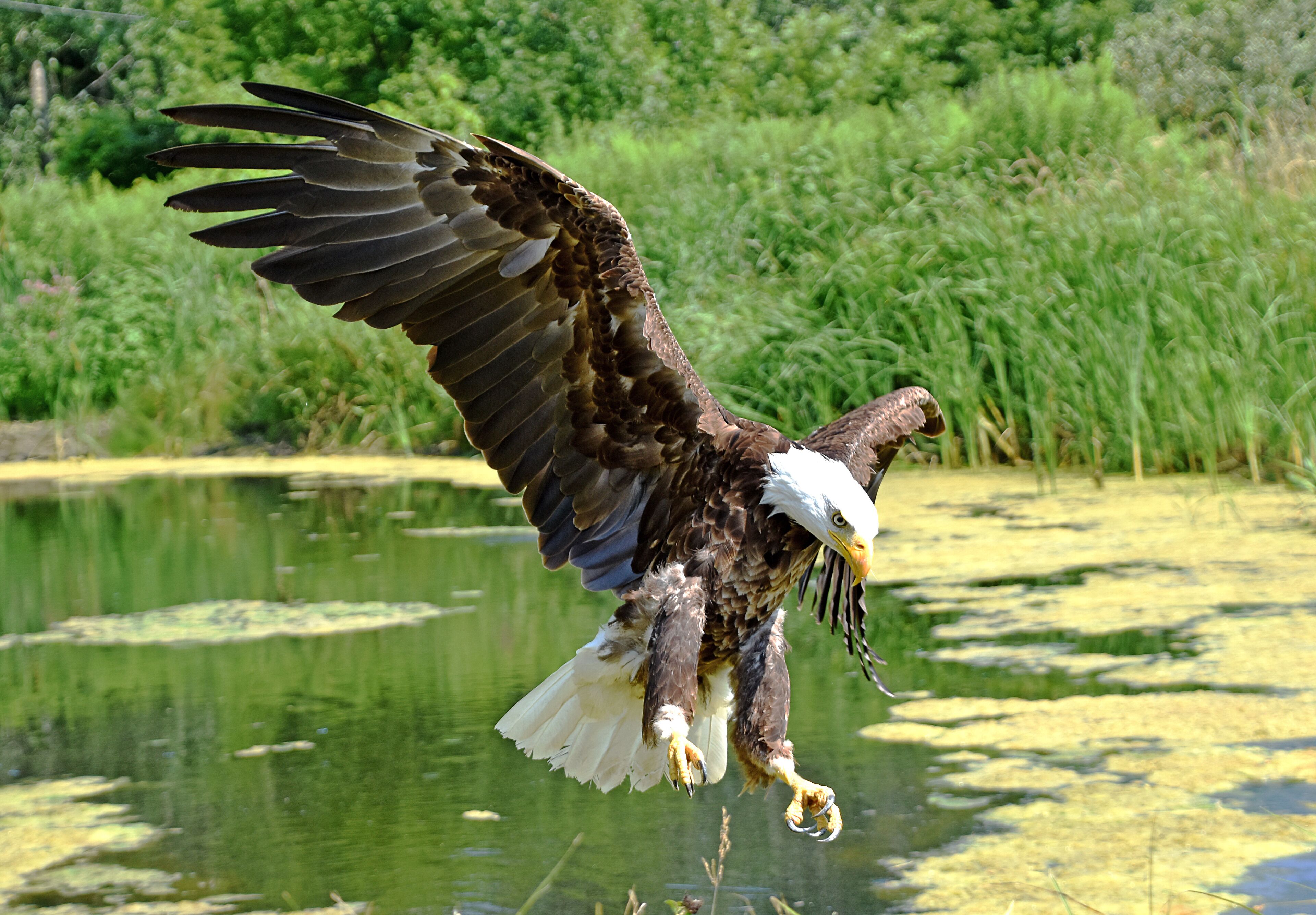 The Conservancy offers in-flight photography sessions.