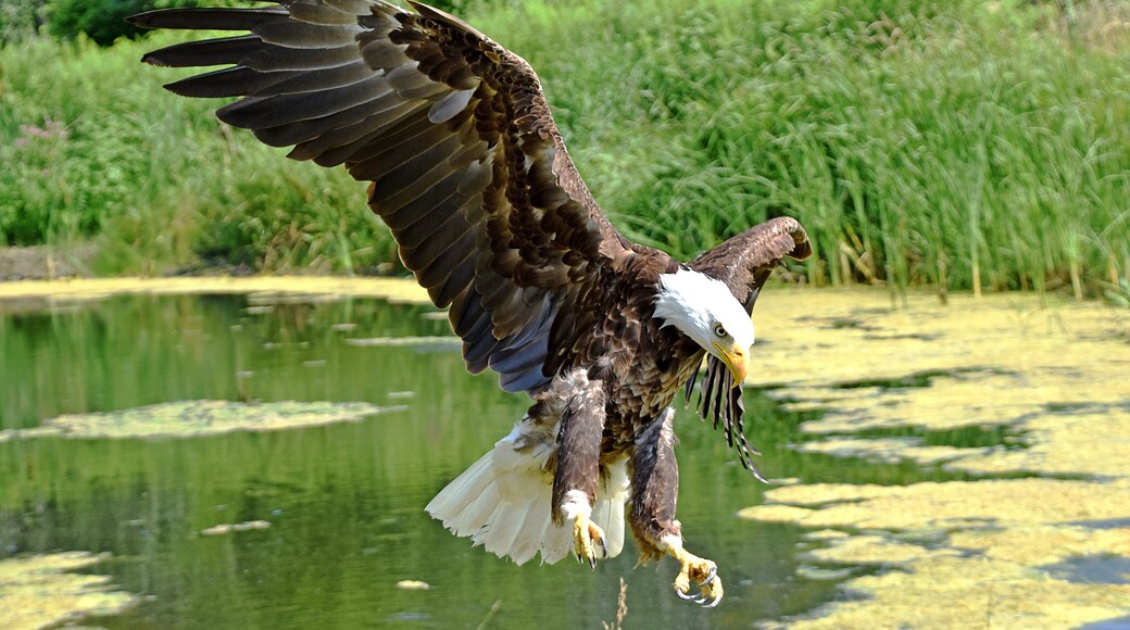 The Conservancy offers in-flight photography sessions.