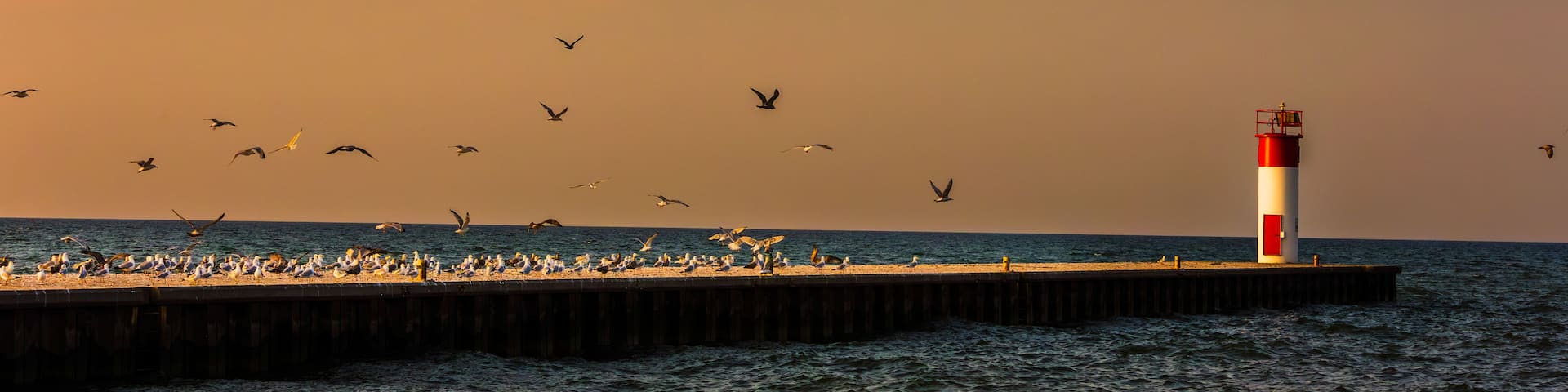 A lighthouse on a pier with seagulls flying overhead.