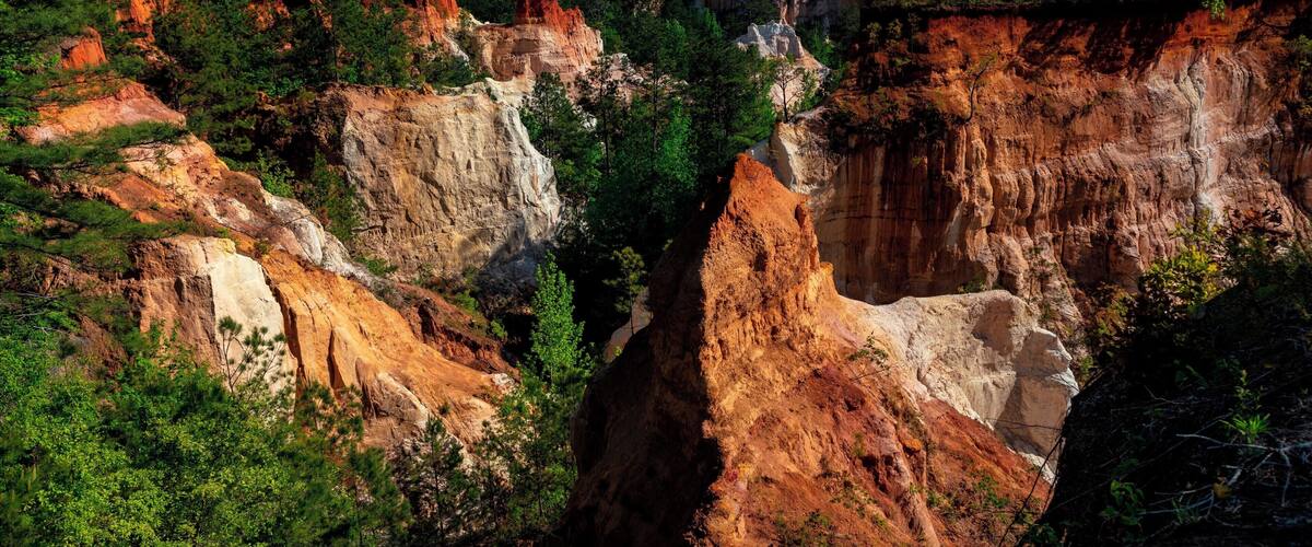 Providence Canyon is nicknamed Georgia's Little Grand Canyon. I think it is aptly named.
I had been here about 25 years ago, but really wanted to go back. It is in the middle of nowhere, so I have been waiting for a reason to head down this direction. If you go, I would highly recommend canyon 4&5. This is the view above the canyon, which you can walk through at the bottom!
If you would like to know more: http://gastateparks.org/ProvidenceCanyon