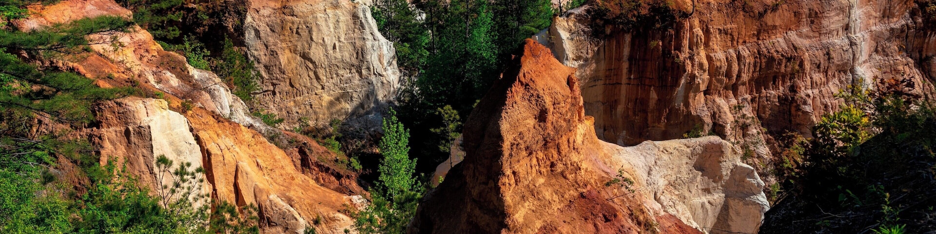 Providence Canyon is nicknamed Georgia's Little Grand Canyon. I think it is aptly named.
I had been here about 25 years ago, but really wanted to go back. It is in the middle of nowhere, so I have been waiting for a reason to head down this direction. If you go, I would highly recommend canyon 4&5. This is the view above the canyon, which you can walk through at the bottom!
If you would like to know more: http://gastateparks.org/ProvidenceCanyon