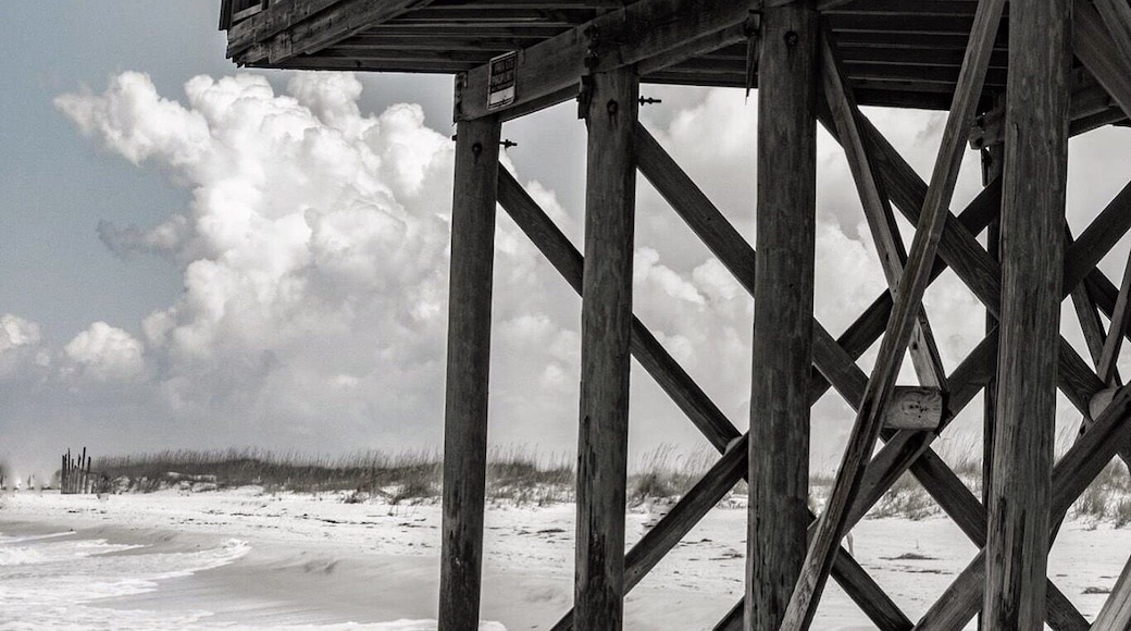 Shell island, Florida. This place is only accessible by boat. It’s very secluded, it’s a nature preserve.