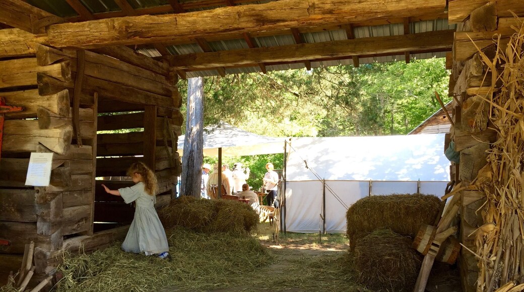 For the past several years, some dear friends of mine have hosted "A Day At The Fort." Located near the small town of Hollingsworth, Georgia, many will gather for a day of old time fun and remembrance. Built in 1793 as a fort, it would later become the home of the White family; hence the other named it is known by; "The White House." This year the event will be held on May 28, 2016. This is a photo I made last year. If you are in the area, I encourage you to stop by for a visit. Tell the family, Ronald sent you!!!