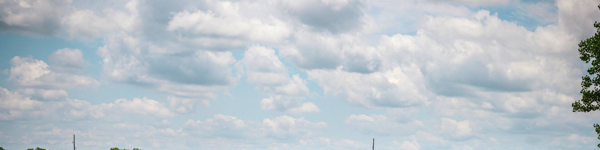 Bison Running on the Prairie Hill at Pioneers Park in Lincoln, Lancaster County, Nebraska, USA