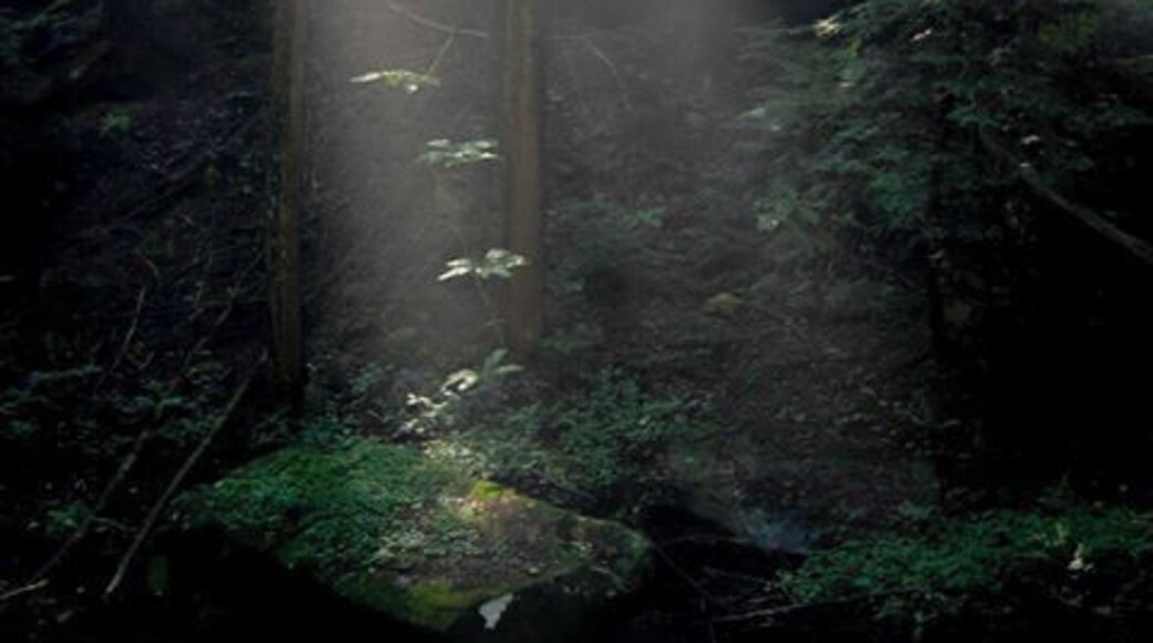 Fiery Gizzard Trail - and the Heaven's opened up~