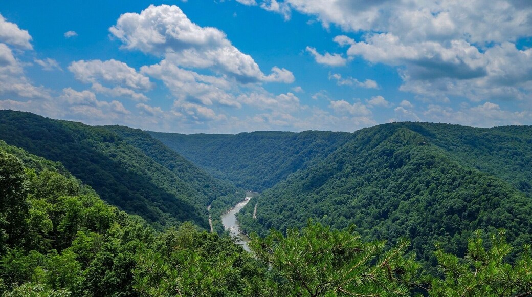 "At some point you just have to let go, move on. Because no matter how painful it is, it's the only way we grow."