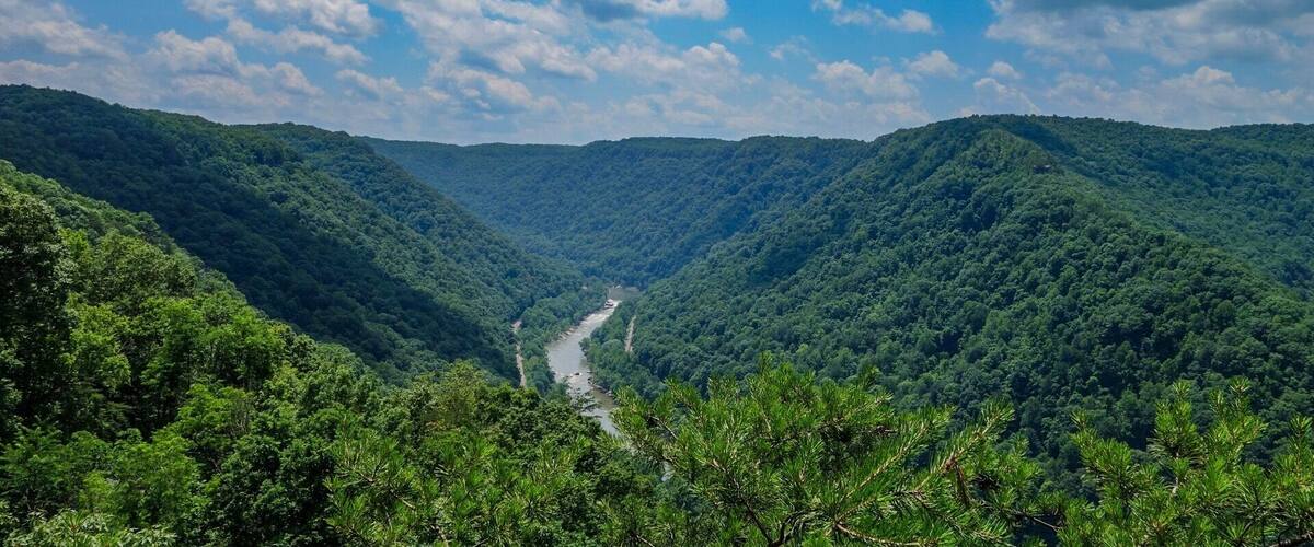 "At some point you just have to let go, move on. Because no matter how painful it is, it's the only way we grow."