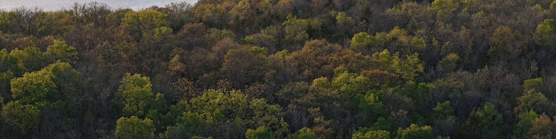 Aerial Drone Wide Angle Golden Hour Views of Hillsdale Lake from Above in Early Spring in Rural Miami County Kansas