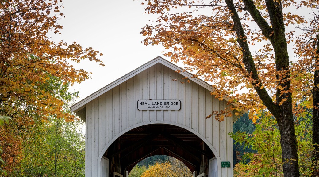 Neal Lane Bridge in fall