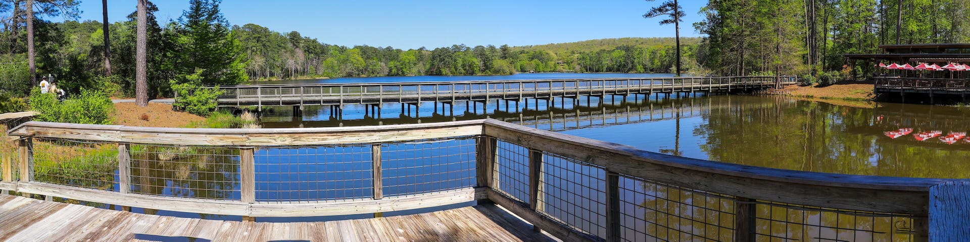 a gorgeous summer landscape in the garden with a vast blue lake and brown wooden bridge surrounded by lush green trees, grass and plants with blue sky at Callaway Gardens in Pine Mountain Georgia USA