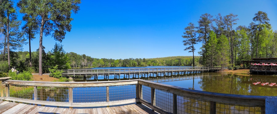 Una terraza de madera con vista a un lago tranquilo, con un muelle de madera que se adentra en el agua.