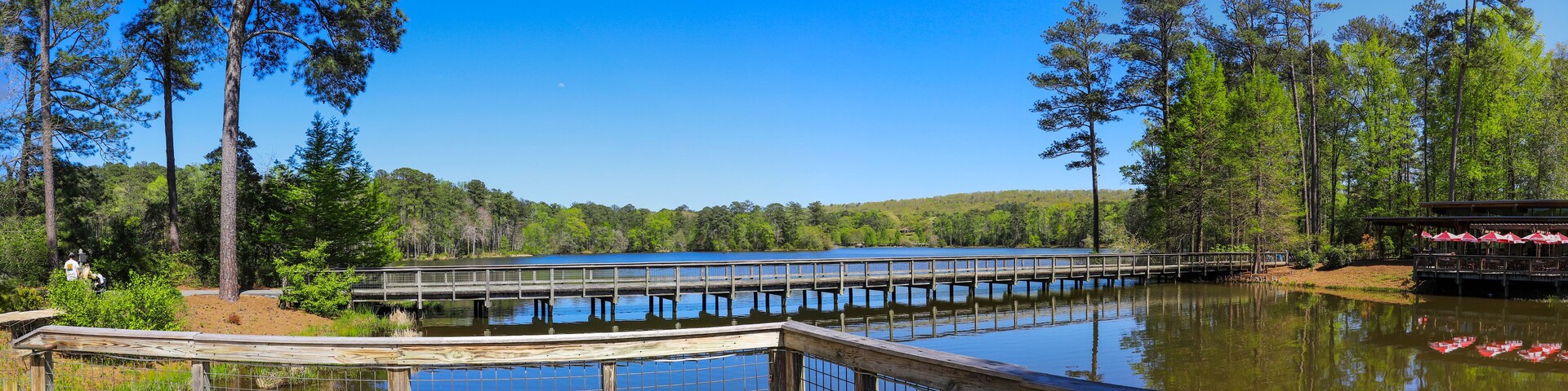 a gorgeous summer landscape in the garden with a vast blue lake and brown wooden bridge surrounded by lush green trees, grass and plants with blue sky at Callaway Gardens in Pine Mountain Georgia USA
