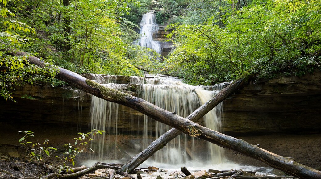 Tioga Falls is 130 feet tall and one of the tallest in Kentucky.