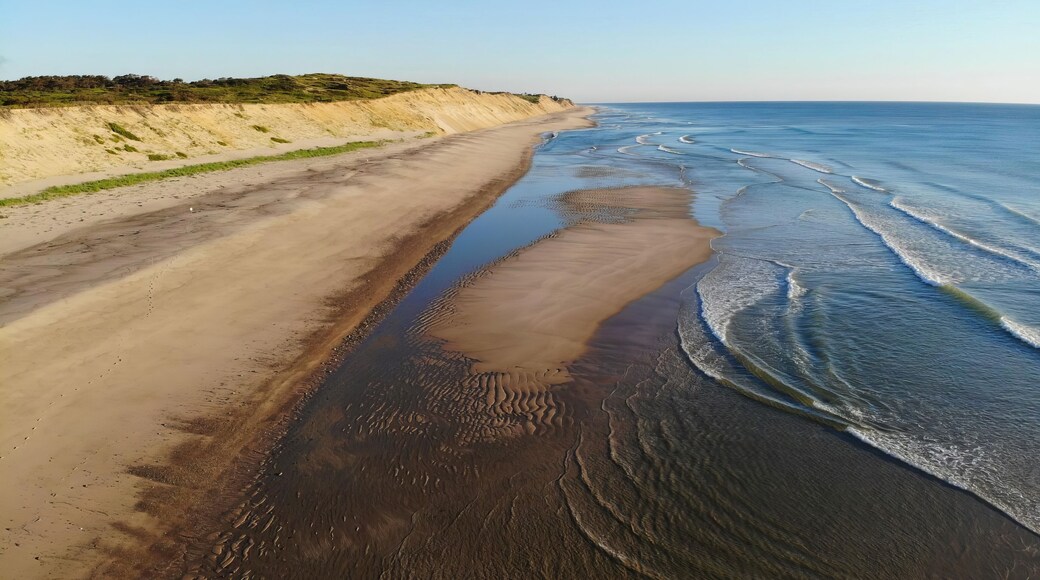 ๋ฐ๋ฅธ์คํ
์ด๋ธ ์นด์ดํฐ