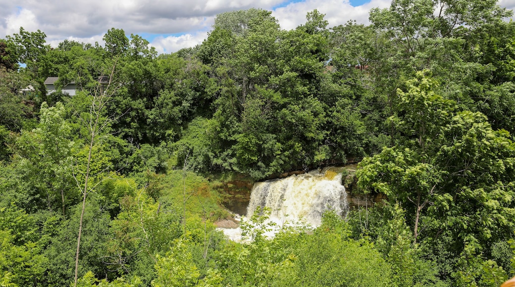Una cascada rodeada de vegetación verde exuberante.