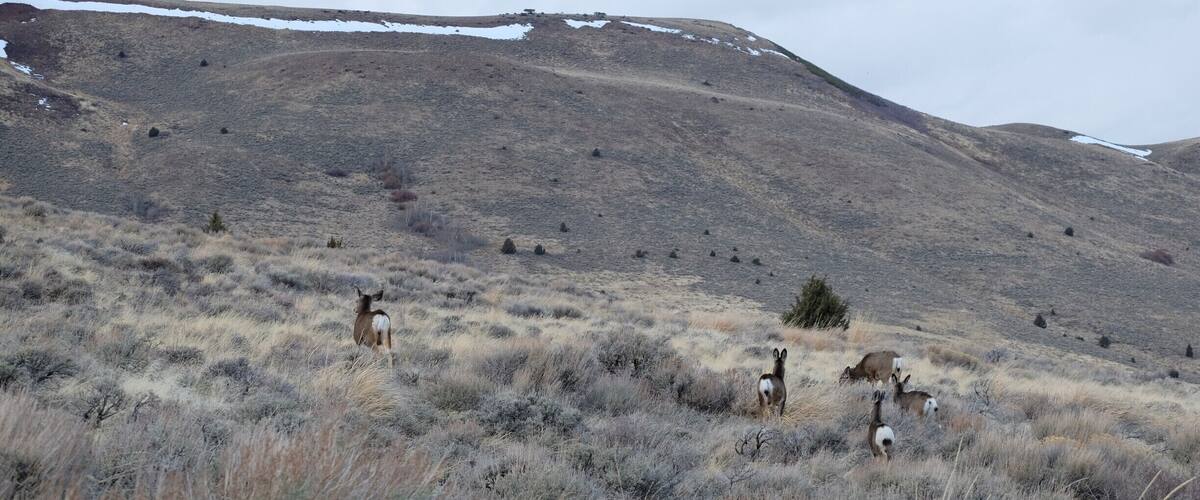 The birthplace of Pepsi was a really cute place! we liked that they took pride in preserving the history and buildings alike